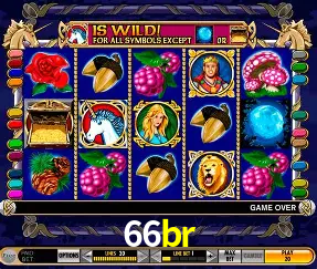 Descubra o Mundo do Cassino Online com 66br